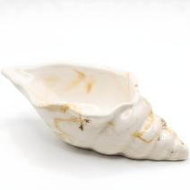 Recipiente Aura - Branco / Dourado